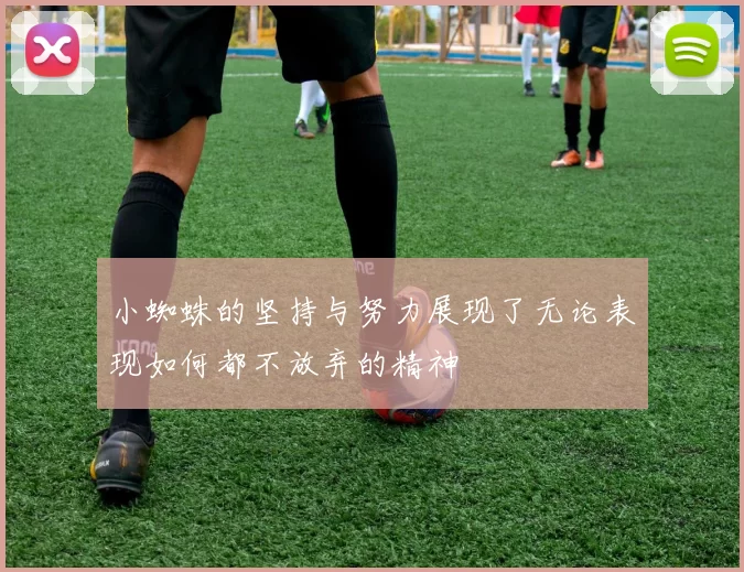 小蜘蛛的坚持与努力展现了无论表现如何都不放弃的精神
