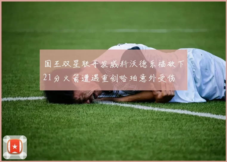 国王双星联手发威科沃德乐福砍下21分火箭遭遇重创哈珀意外受伤